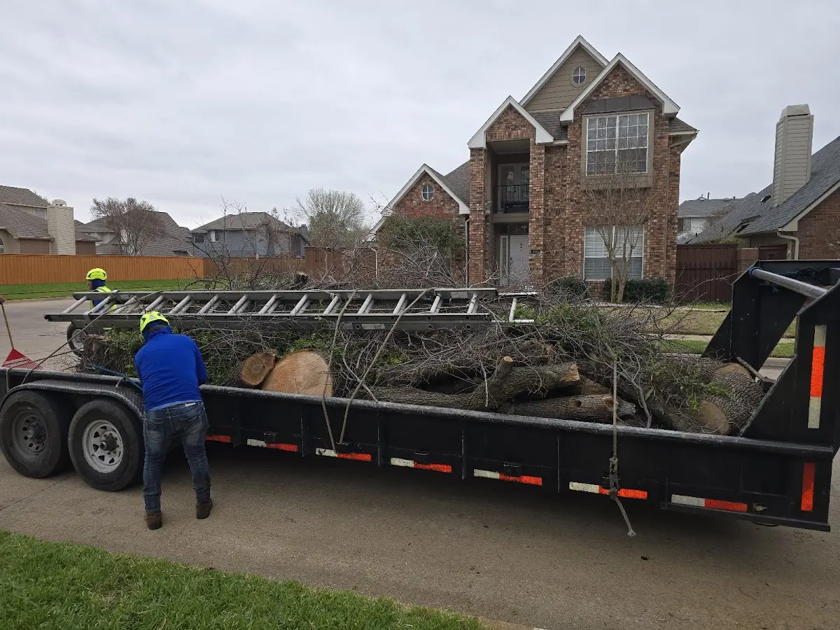 Expert Tree Pest Control with proper safety equipment in De Berry